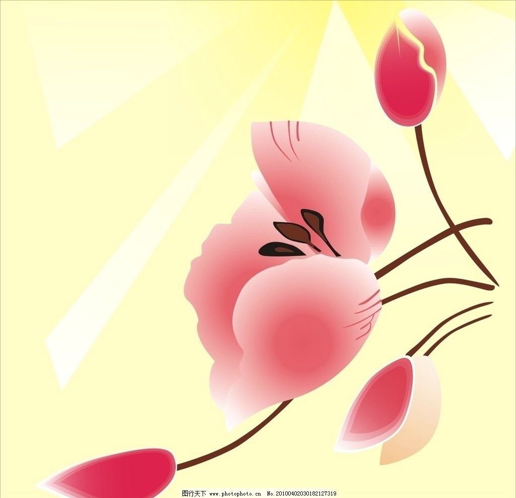 卡通花瓣造型