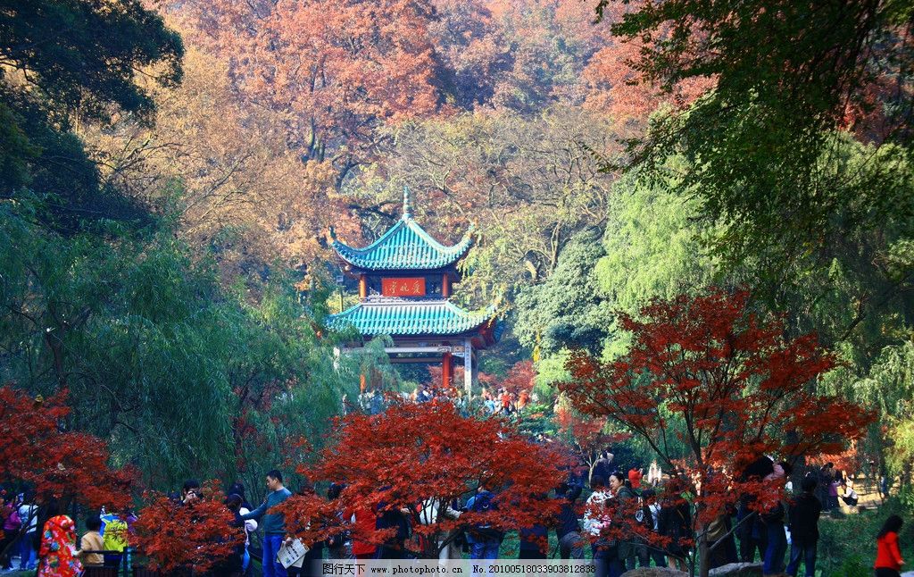 岳麓山爱晚亭摄影图片