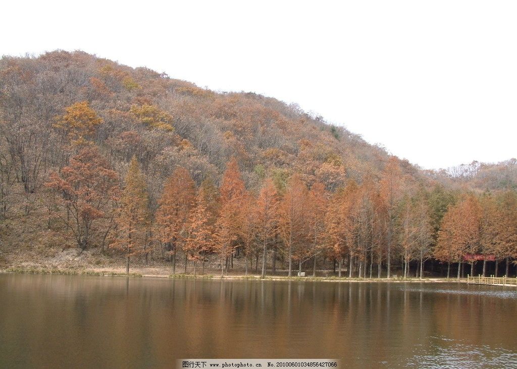 山水图片,湖泊 树林 红树 秋 天空 原始森林 嵩县风景