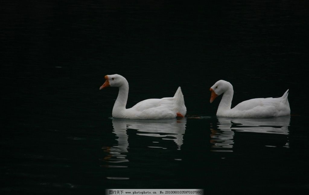 湖北武汉“精武食物”完成逆势生长