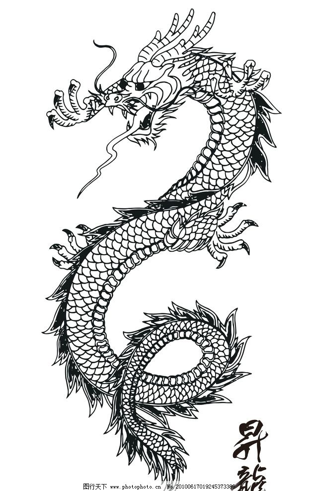 龙图片图片_龙图片图片下载